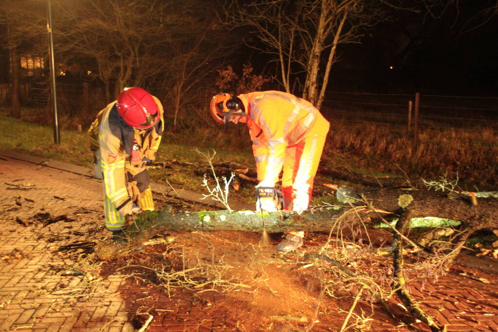 Boom valt op weg door harde wind