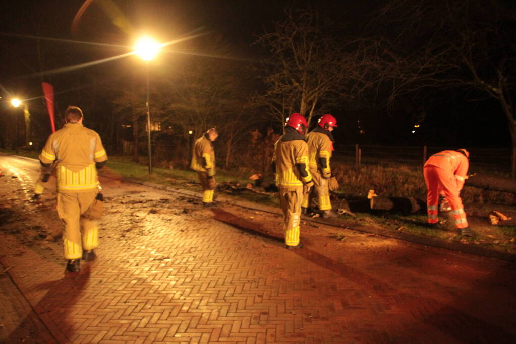 Boom valt op weg door harde wind