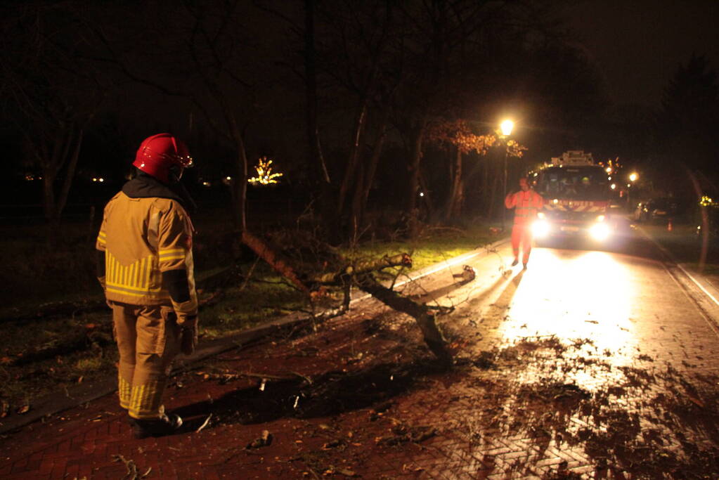 Boom valt op weg door harde wind