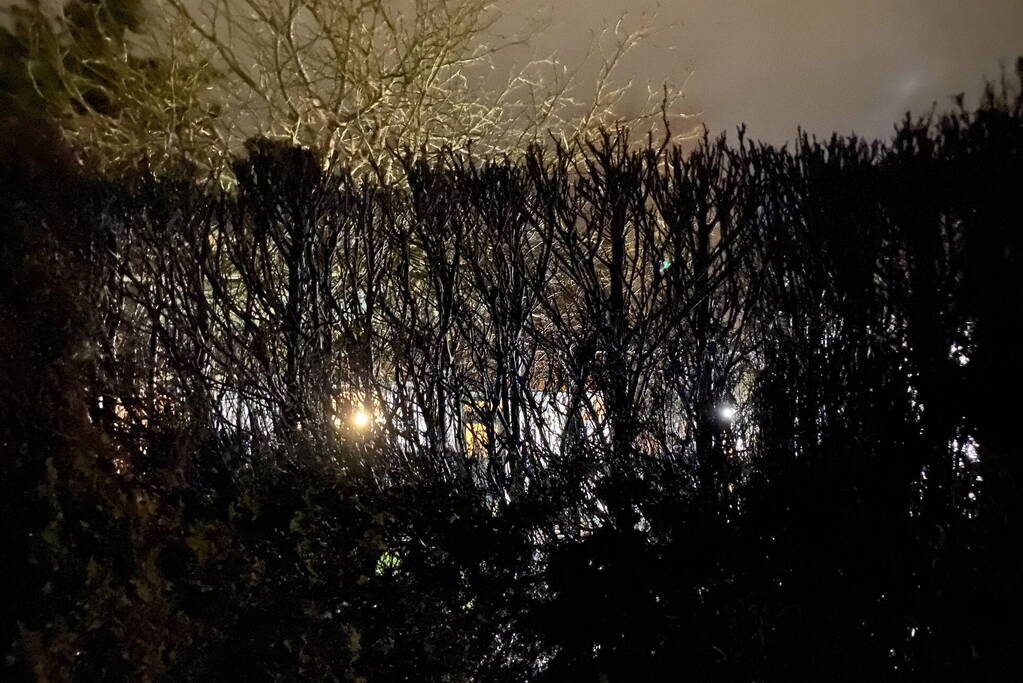 Heg vat vlam door vuurwerk