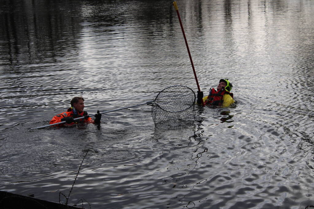 Dier gered door brandweer