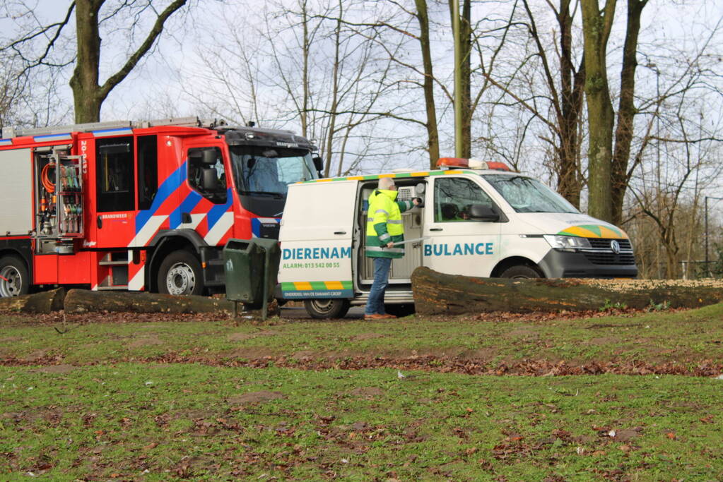 Dier gered door brandweer