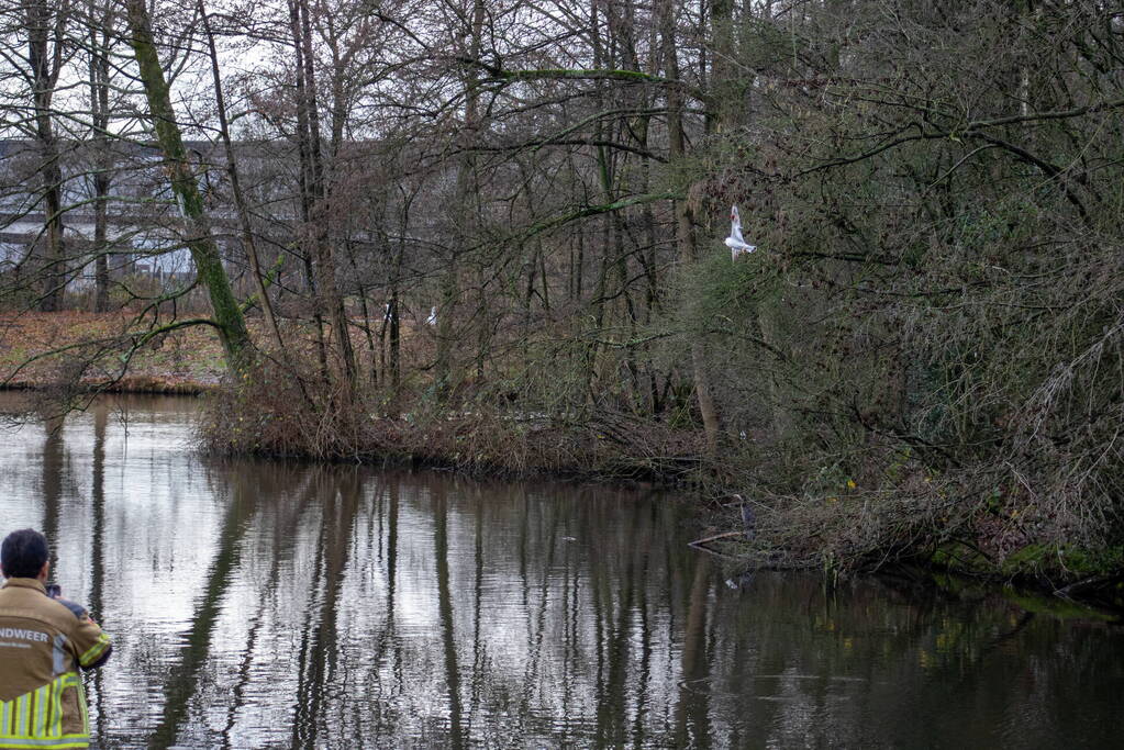 Dier gered door brandweer