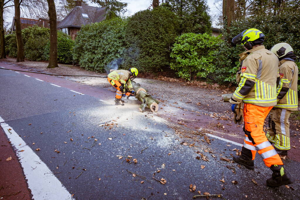 Boom in stukken gezaagd na brand