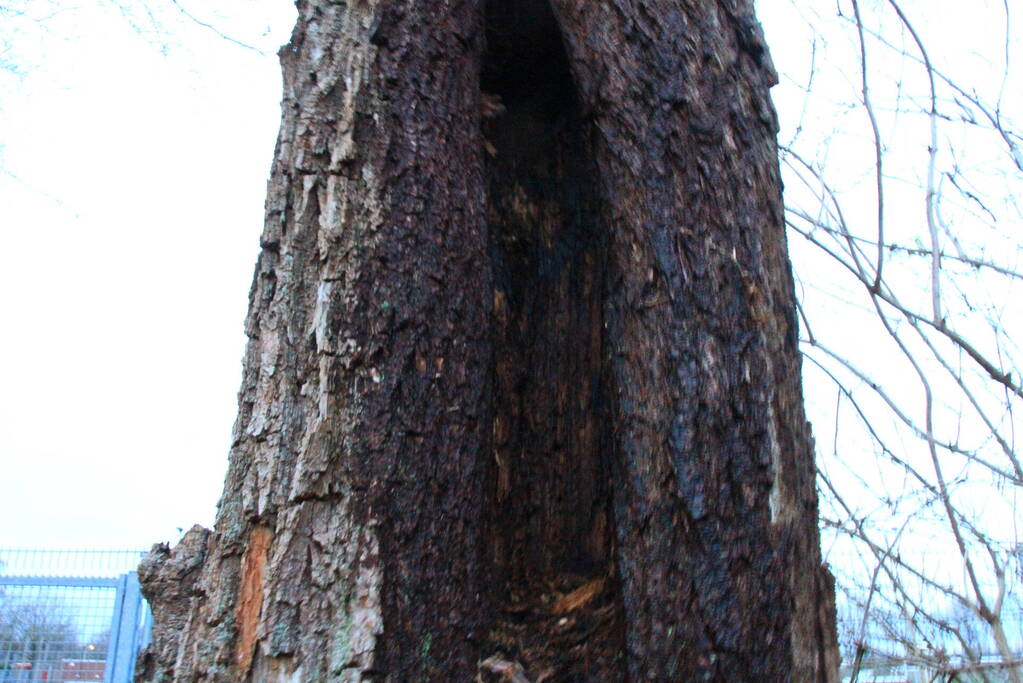 Jongeren helpen brandweer met blussen van buitenbrand