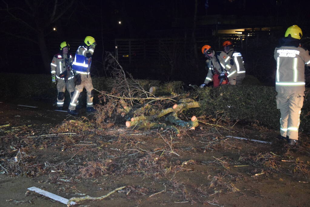 Brandweer en hovenier zagen omgewaaide boom in stukken