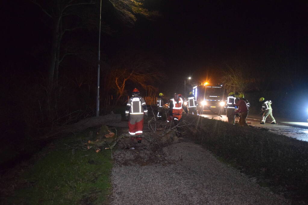 Brandweer en hovenier zagen omgewaaide boom in stukken