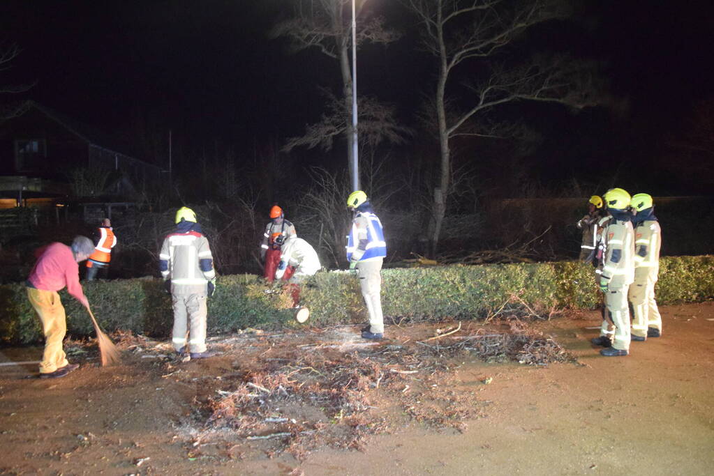 Brandweer en hovenier zagen omgewaaide boom in stukken