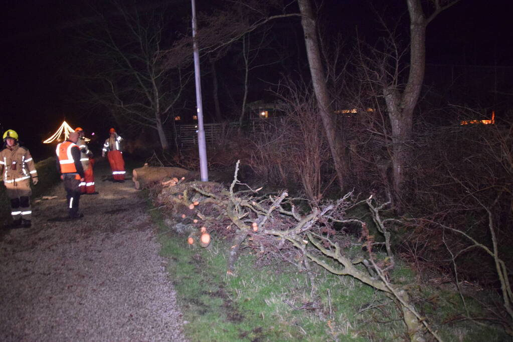 Brandweer en hovenier zagen omgewaaide boom in stukken