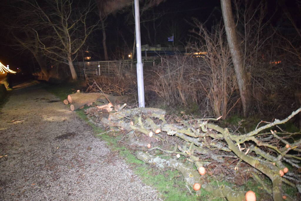Brandweer en hovenier zagen omgewaaide boom in stukken