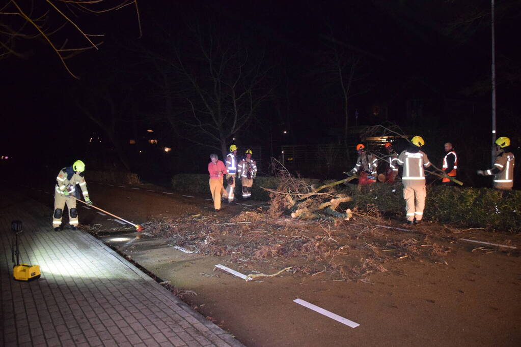 Brandweer en hovenier zagen omgewaaide boom in stukken