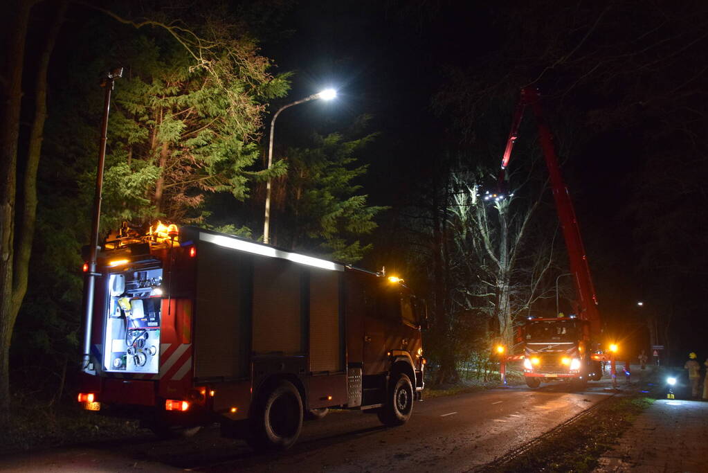 Hoogwerker ingezet bij verwijderen van takken