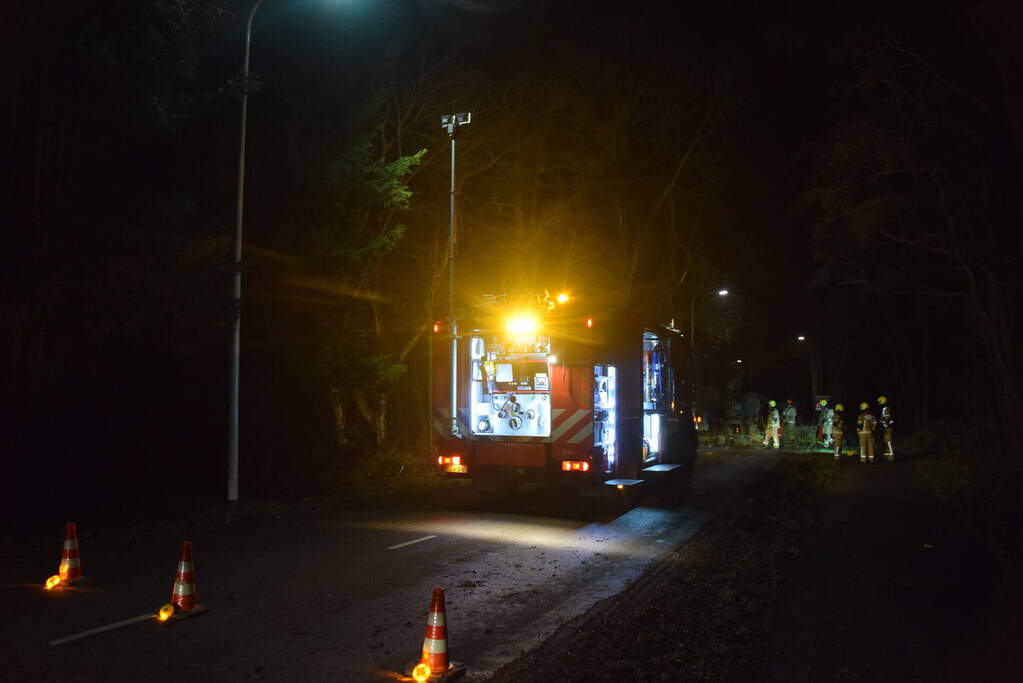 Hoogwerker ingezet bij verwijderen van takken