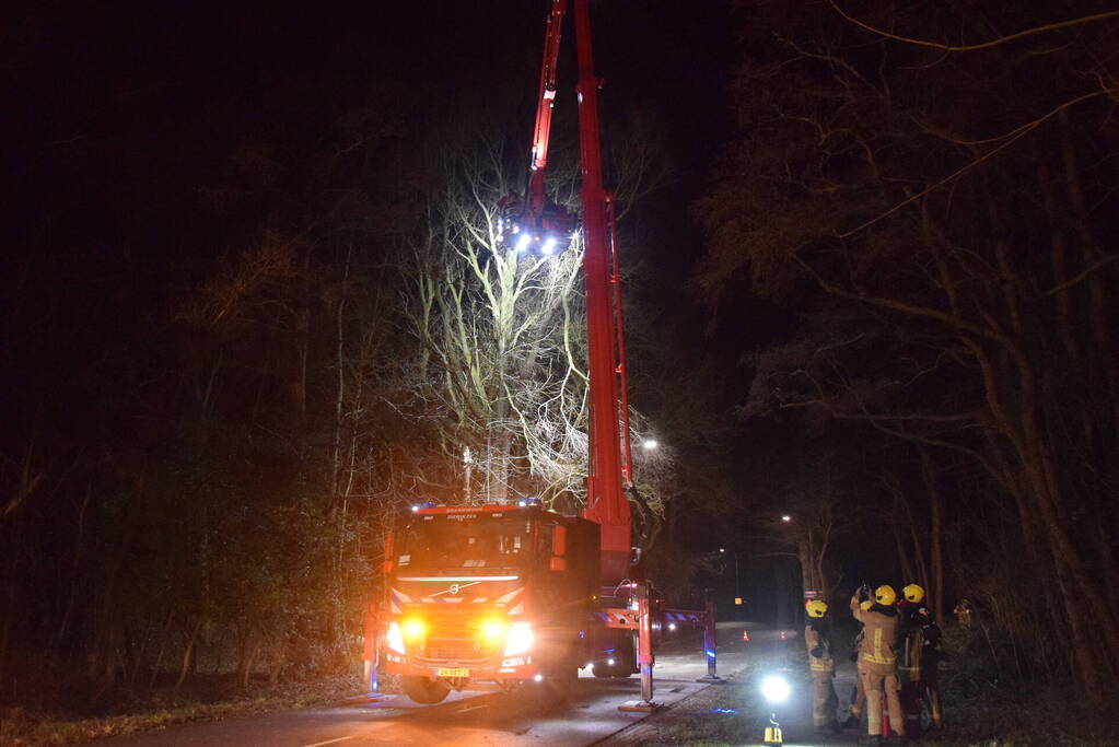 Hoogwerker ingezet bij verwijderen van takken