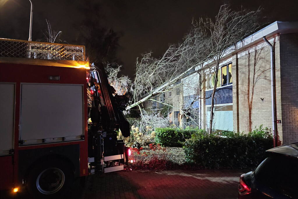 Grote boom waait om en belandt tegen woning