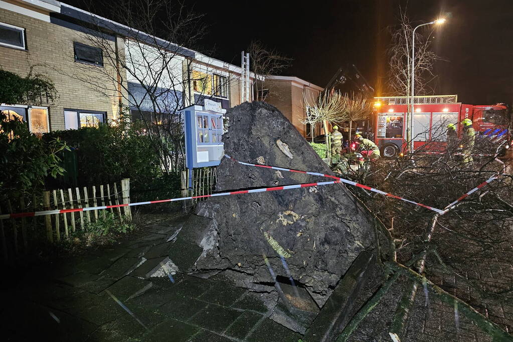Grote boom waait om en belandt tegen woning