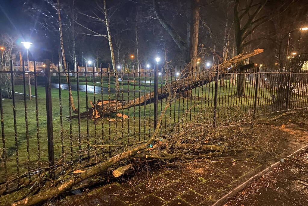 Omgevallen boom valt op hekwerk en blokkeert weg