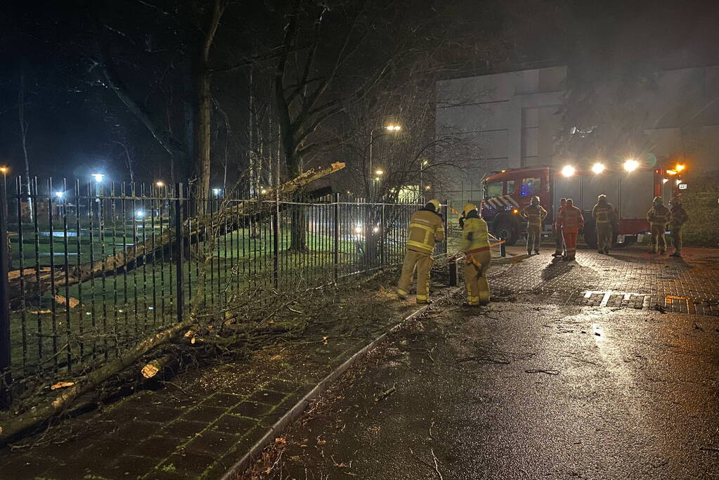 Omgevallen boom valt op hekwerk en blokkeert weg