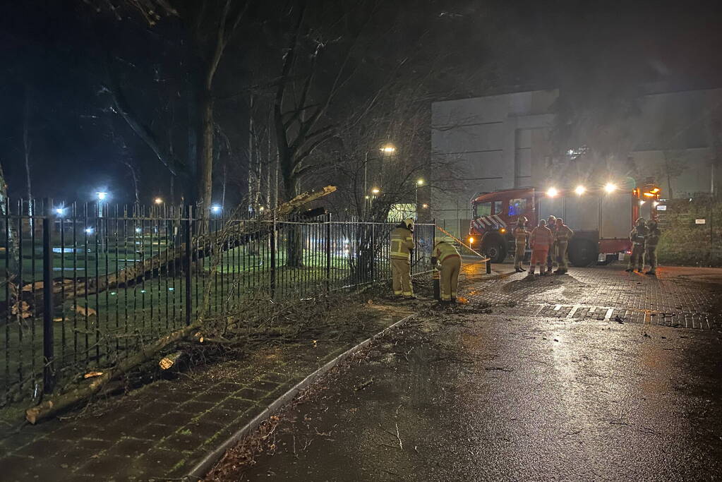 Omgevallen boom valt op hekwerk en blokkeert weg