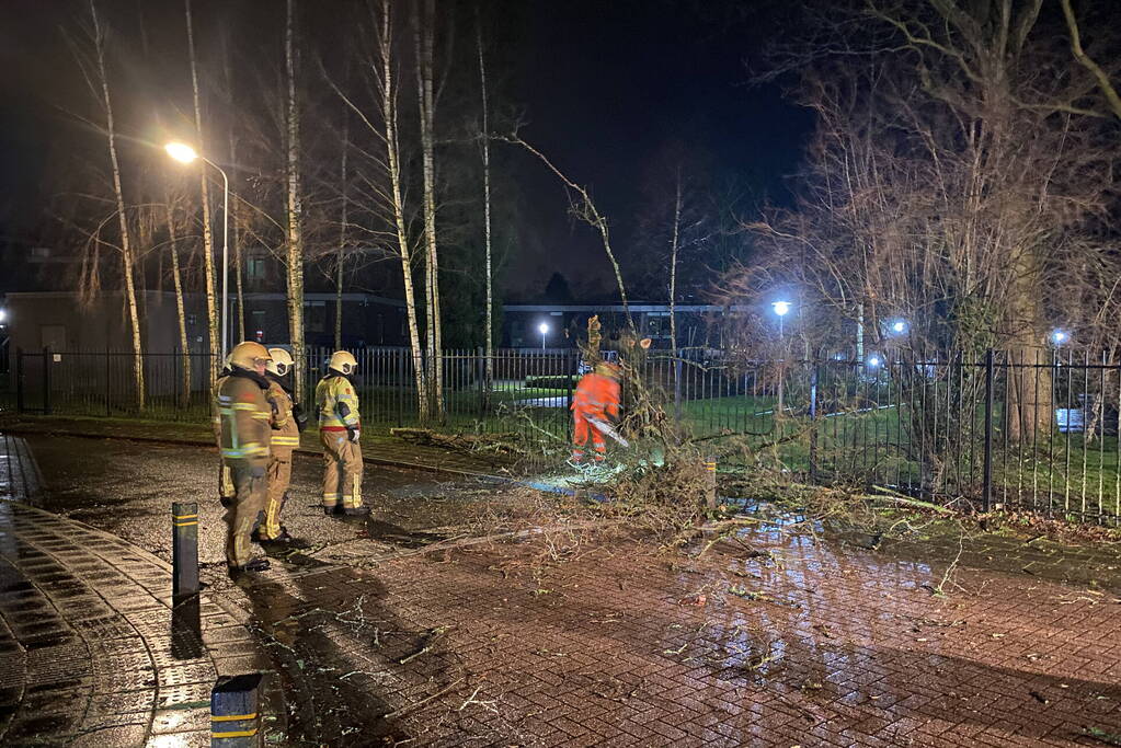 Omgevallen boom valt op hekwerk en blokkeert weg