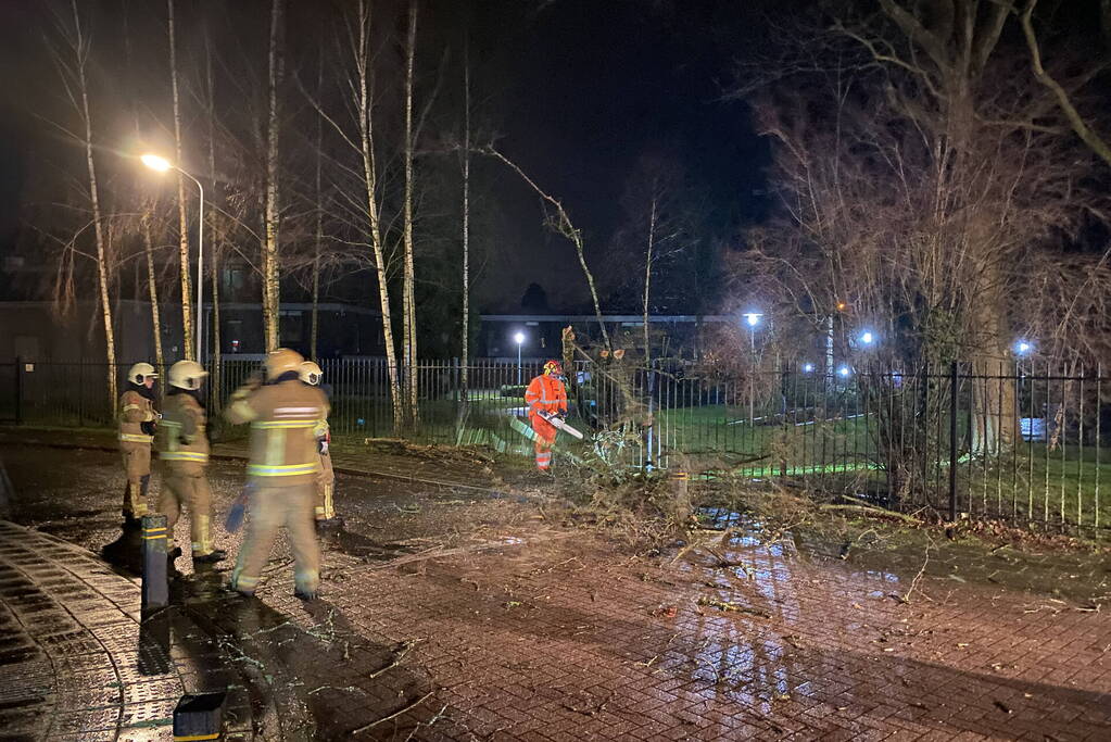 Omgevallen boom valt op hekwerk en blokkeert weg