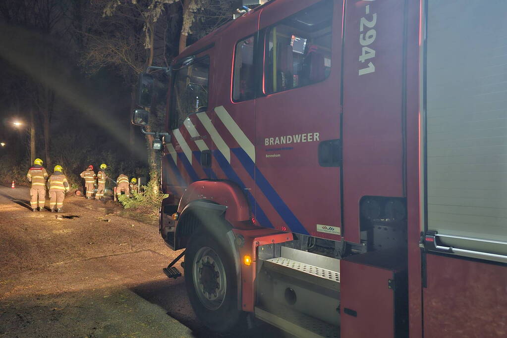 Brandweer verwijdert twee omgevallen bomen