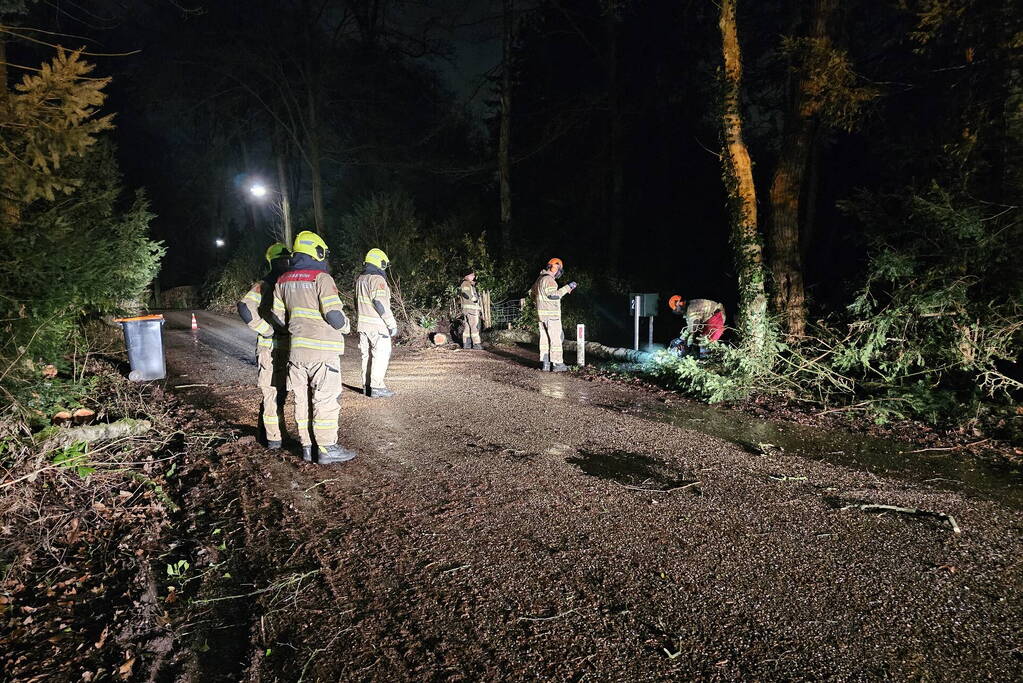 Brandweer verwijdert twee omgevallen bomen