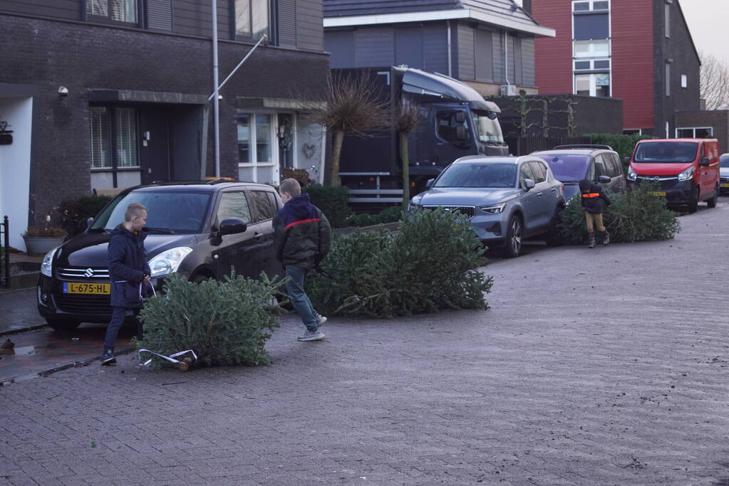 Kinderen verdienen geld met het inzamelen van kerstbomen