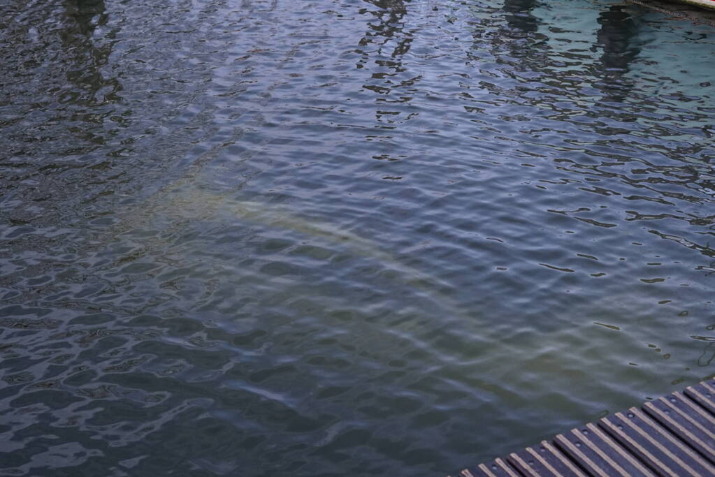 Auto door vergeten handrem te water geraakt