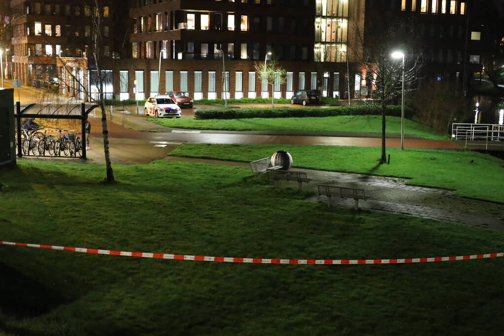 Aanhoudingen na vuurwapen melding op station