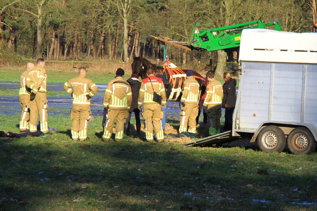 Brandweer ingezet voor een paard in nood