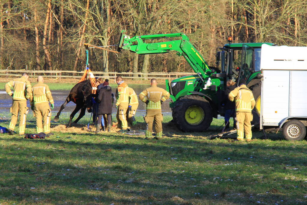 Brandweer ingezet voor een paard in nood