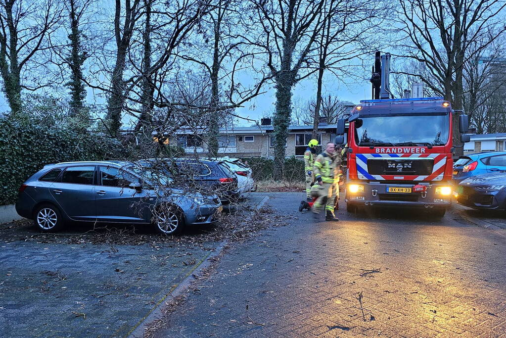 Meerdere auto's beschadigd door omgevallen boom