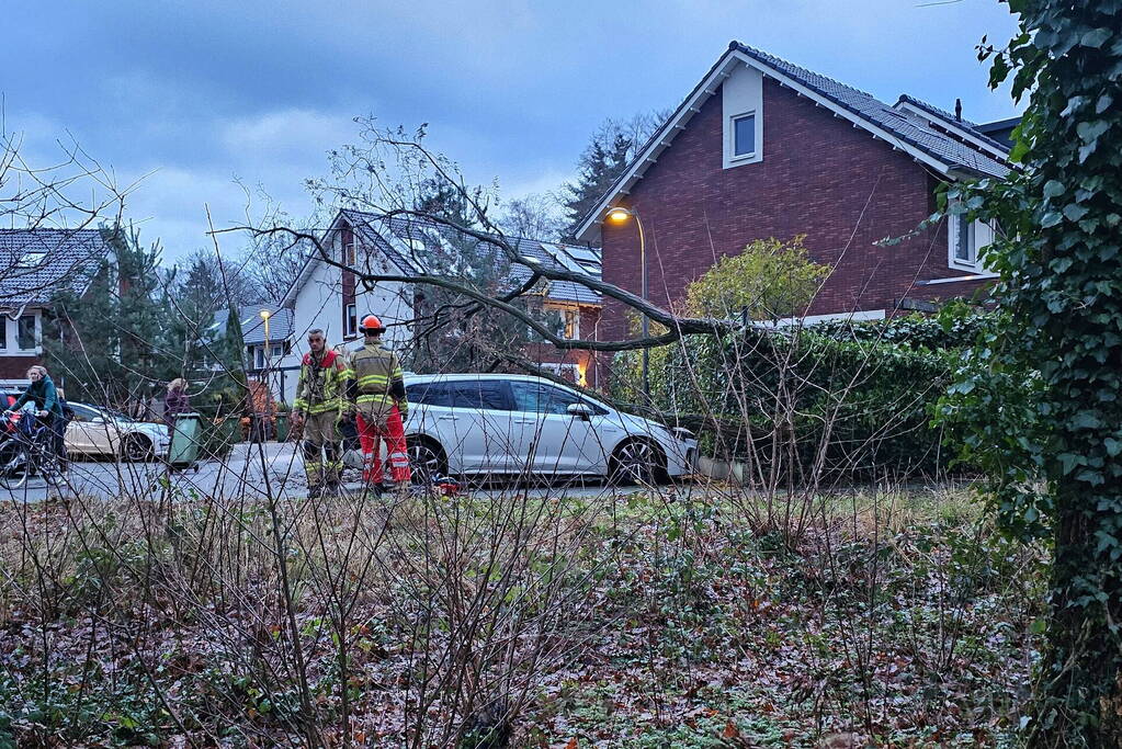 Meerdere auto's beschadigd door omgevallen boom