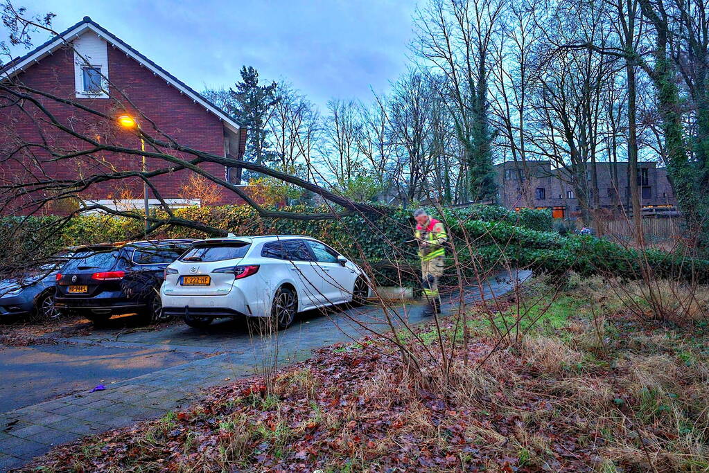 Meerdere auto's beschadigd door omgevallen boom
