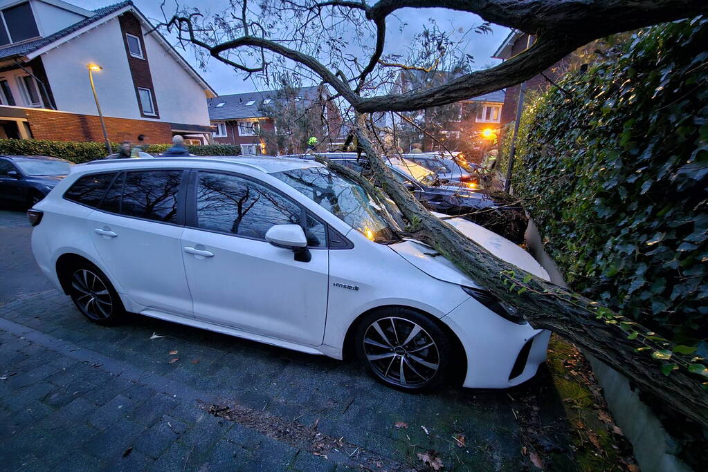 Meerdere auto's beschadigd door omgevallen boom