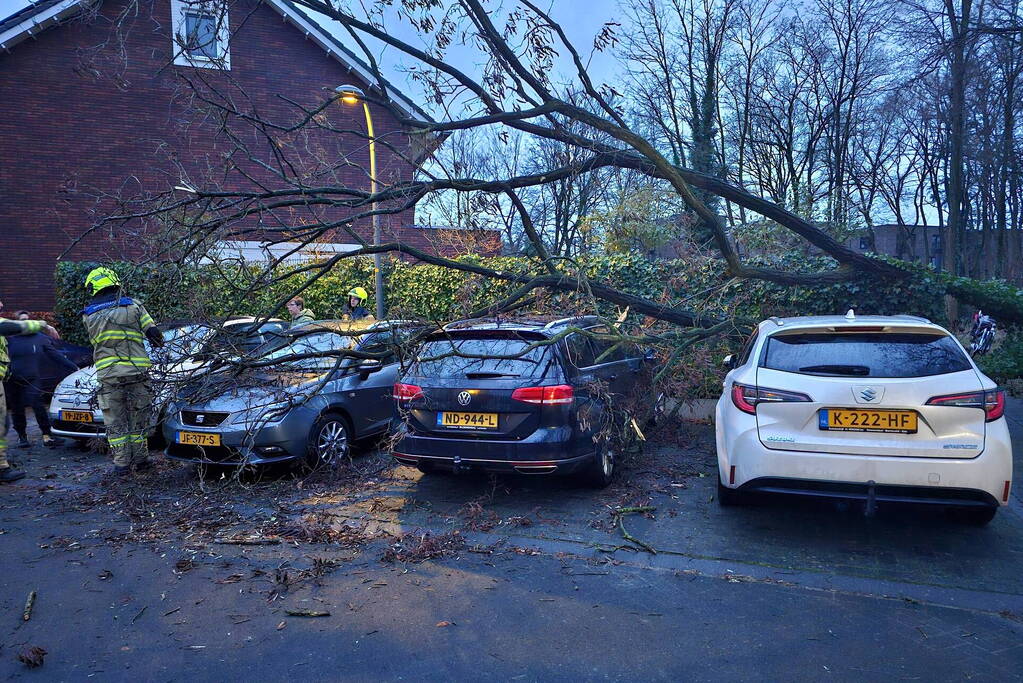 Meerdere auto's beschadigd door omgevallen boom