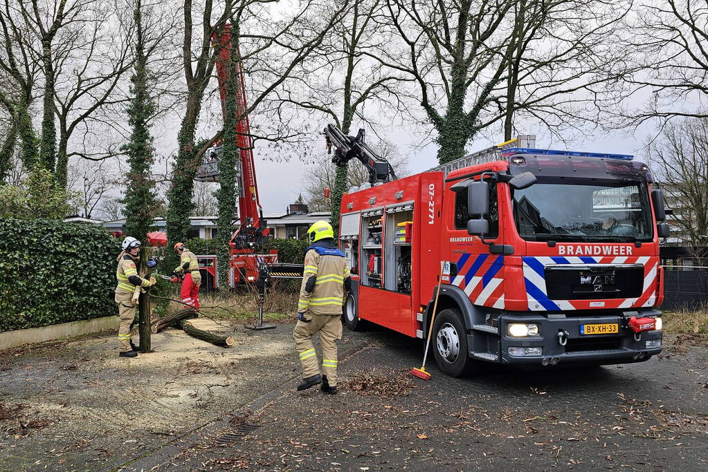 Meerdere auto's beschadigd door omgevallen boom
