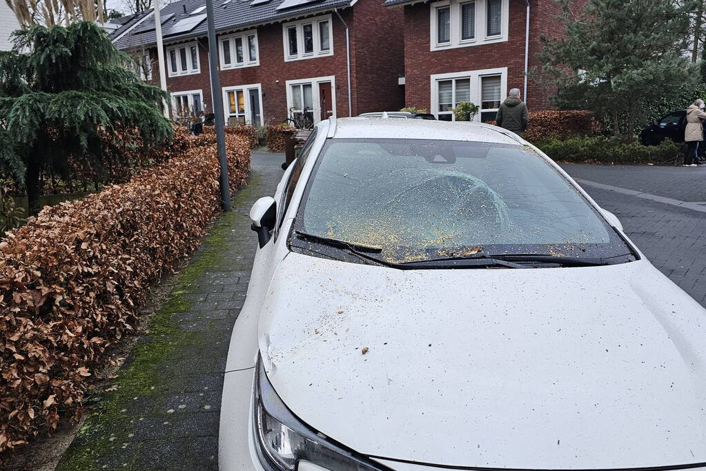 Meerdere auto's beschadigd door omgevallen boom