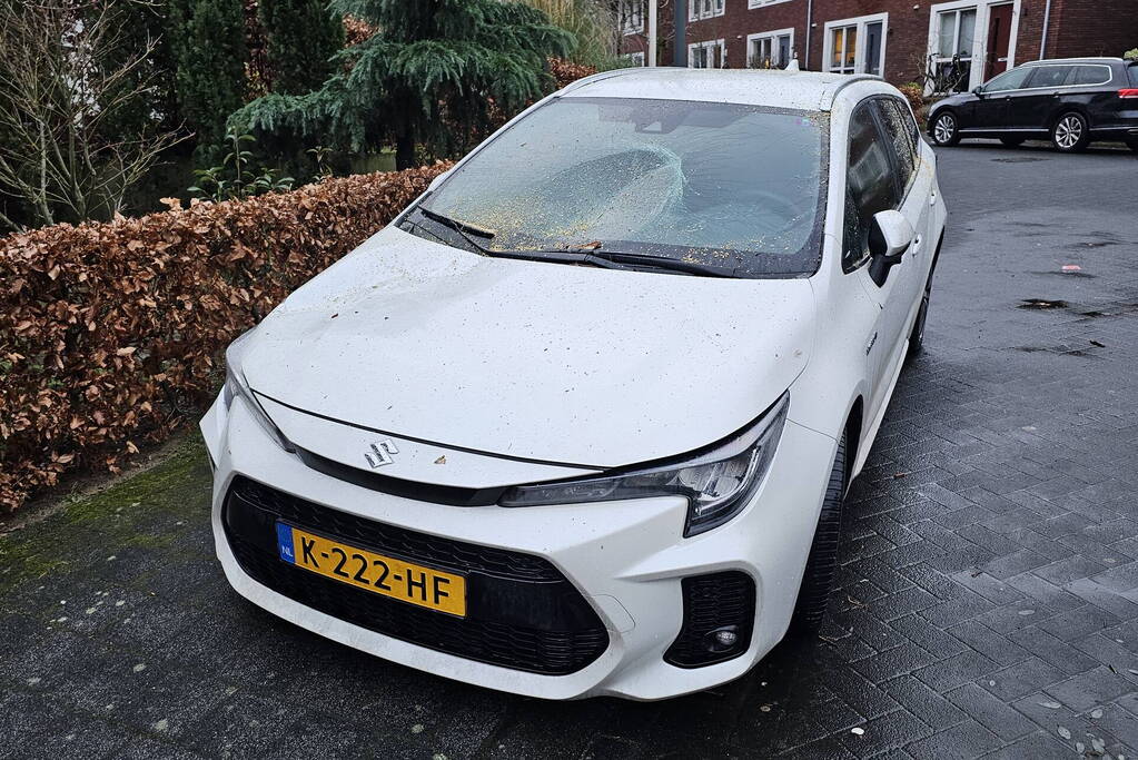 Meerdere auto's beschadigd door omgevallen boom