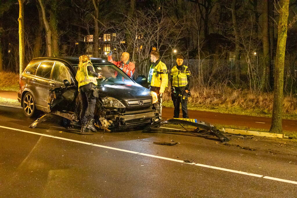 Bestuurder onder invloed botst op boom