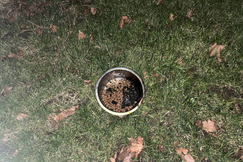 Pannetje op het vuur zorgt voor rookontwikkeling