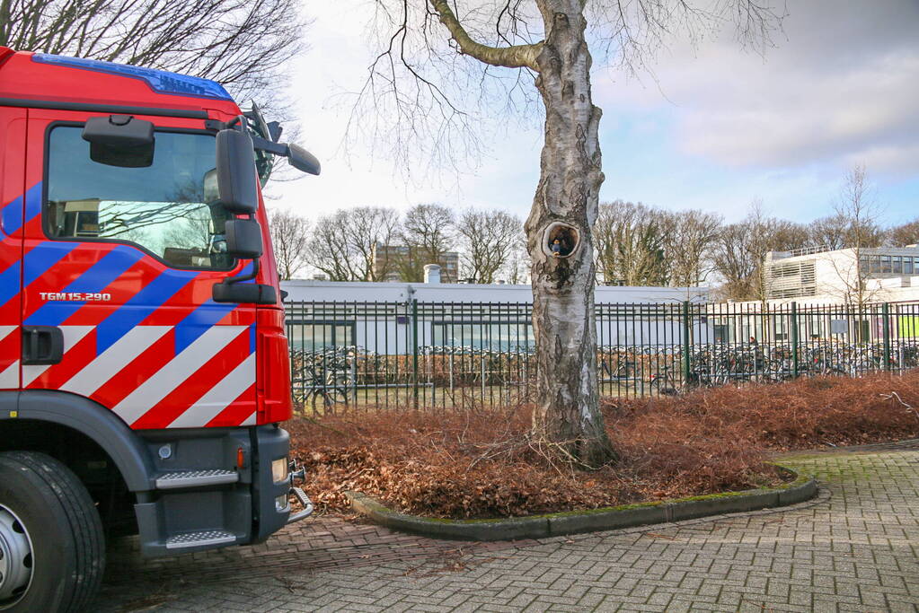 Meerdere leerlingen na drie uur uit lift bevrijdt