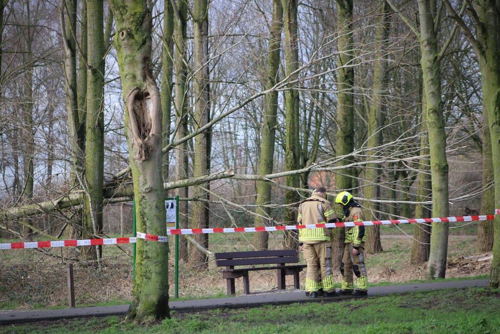 Gouwe bos afgesloten vanwege stormschades