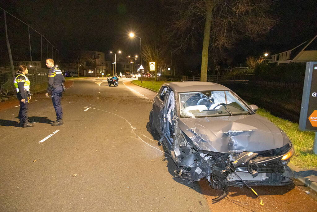 Automobilist richt ravage aan