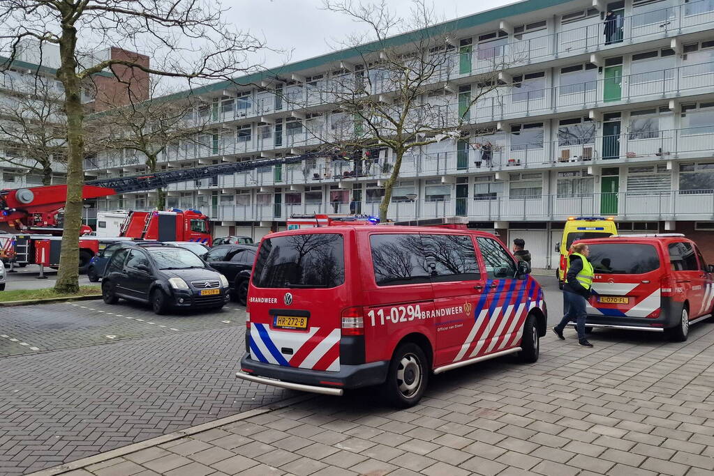 Brand in flatwoning