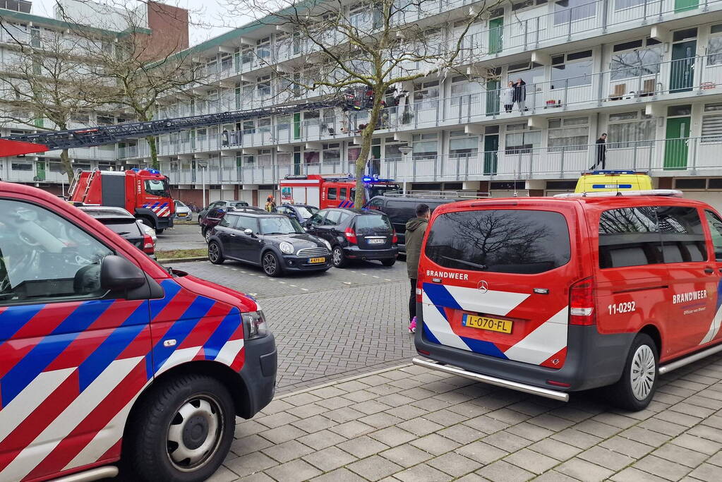 Brand in flatwoning