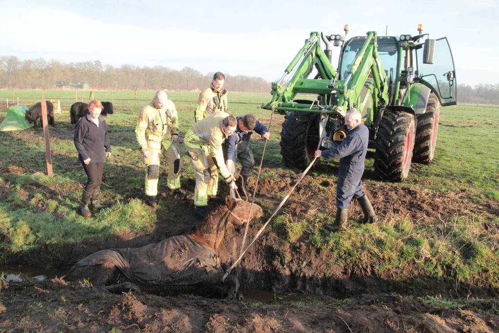 Brandweer ingezet voor een paard in de sloot