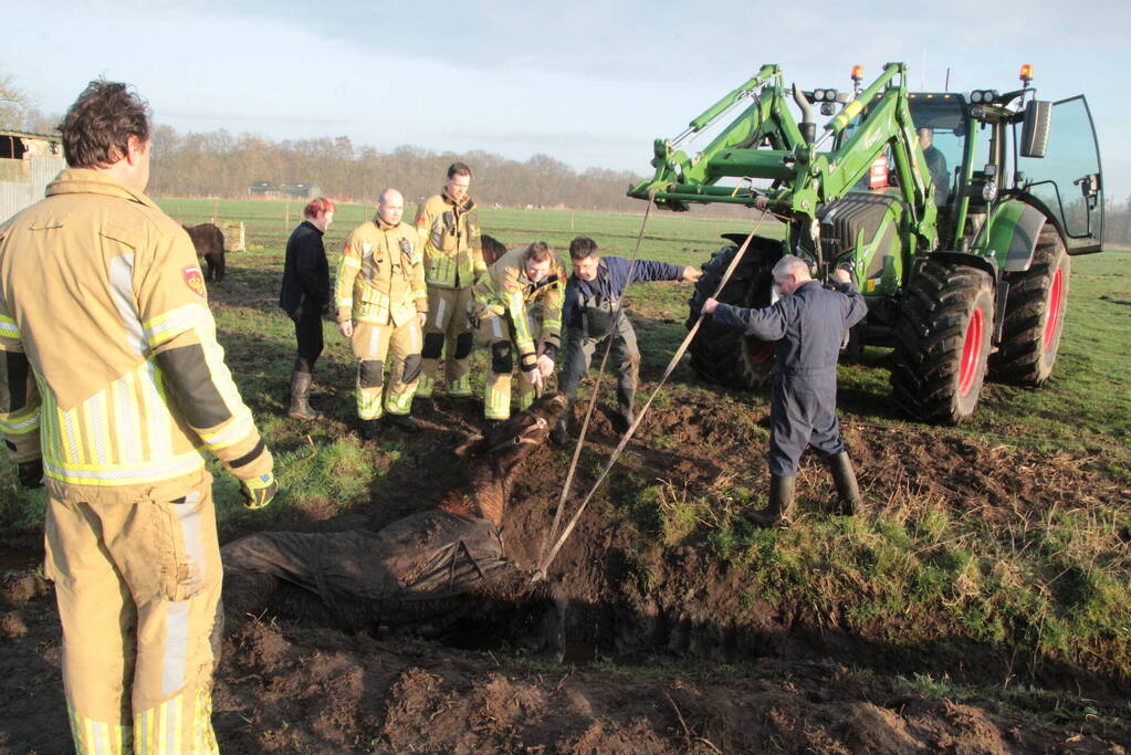 Brandweer ingezet voor een paard in de sloot