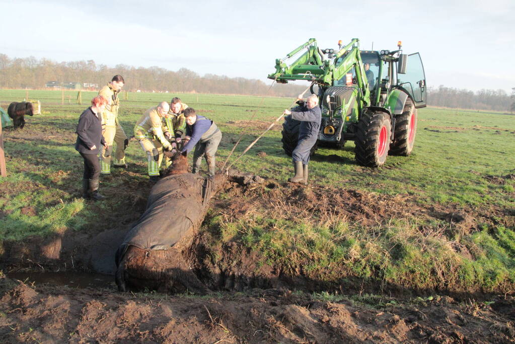 Brandweer ingezet voor een paard in de sloot